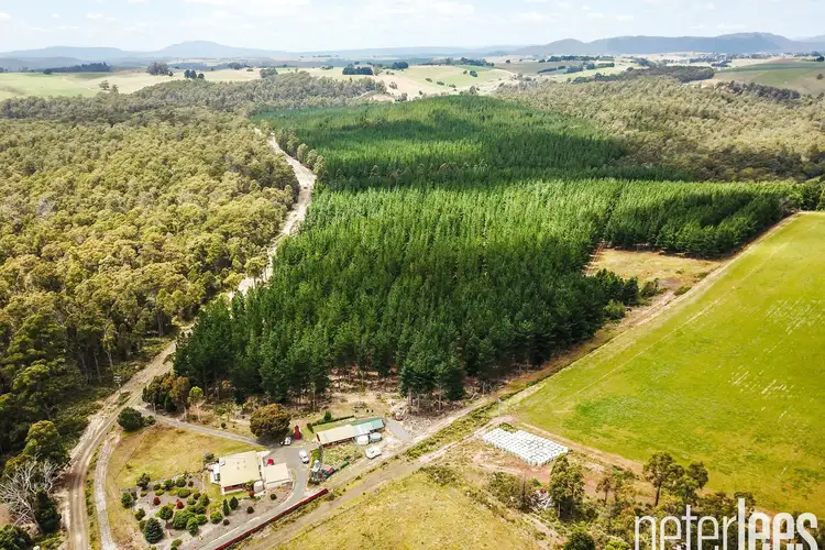 Fifth view of Homely rural property listing, 139 Lauderdale Road, Jetsonville TAS 7260