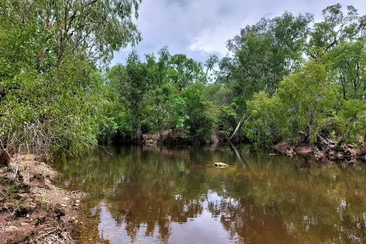 Third view of Homely rural property listing, 16 Peninsula Development Road, Lakeland QLD 4871