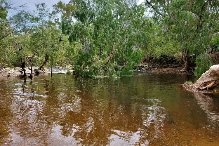 Fourth view of Homely rural property listing, 16 Peninsula Development Road, Lakeland QLD 4871
