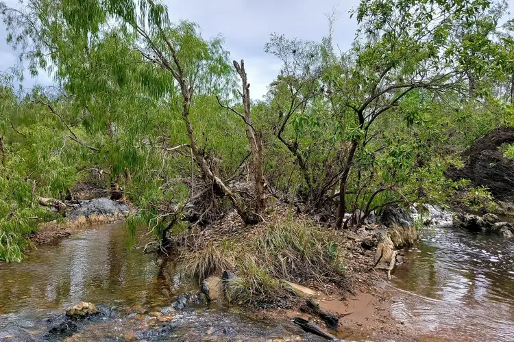 Fifth view of Homely rural property listing, 16 Peninsula Development Road, Lakeland QLD 4871