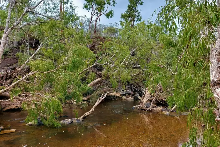 Sixth view of Homely rural property listing, 16 Peninsula Development Road, Lakeland QLD 4871