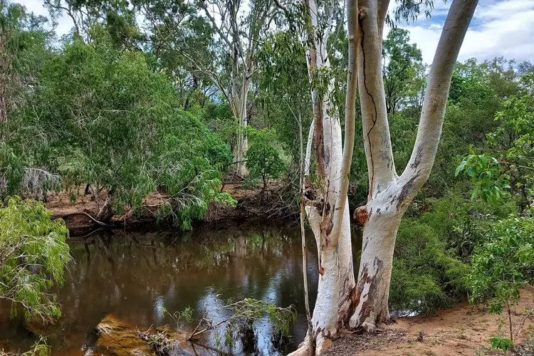Seventh view of Homely rural property listing, 16 Peninsula Development Road, Lakeland QLD 4871