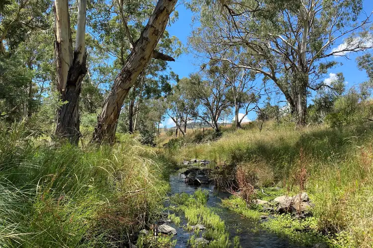 Main view of Homely rural property listing, LOT 41 Campbells Creek Road, Mudgee NSW 2850