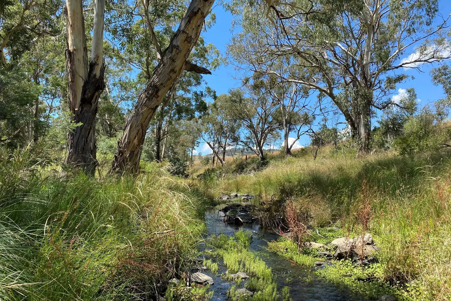 Main view of Homely rural property listing, LOT 41 Campbells Creek Road, Mudgee NSW 2850