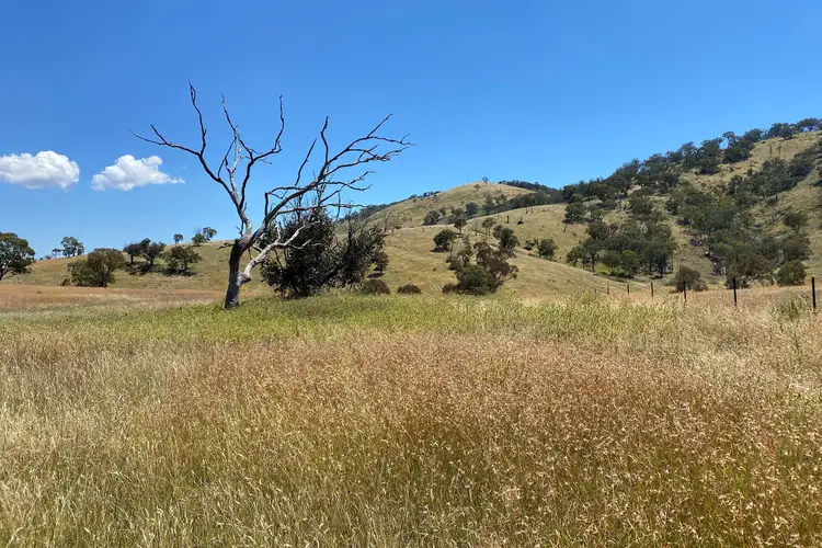 Second view of Homely rural property listing, LOT 41 Campbells Creek Road, Mudgee NSW 2850