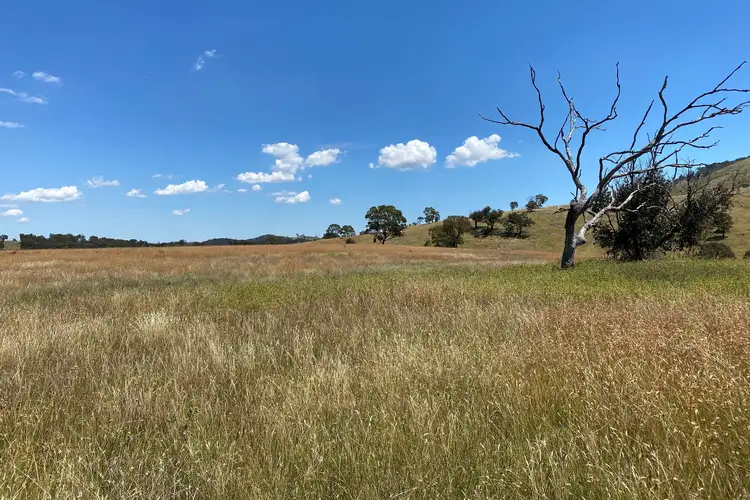 Third view of Homely rural property listing, LOT 41 Campbells Creek Road, Mudgee NSW 2850