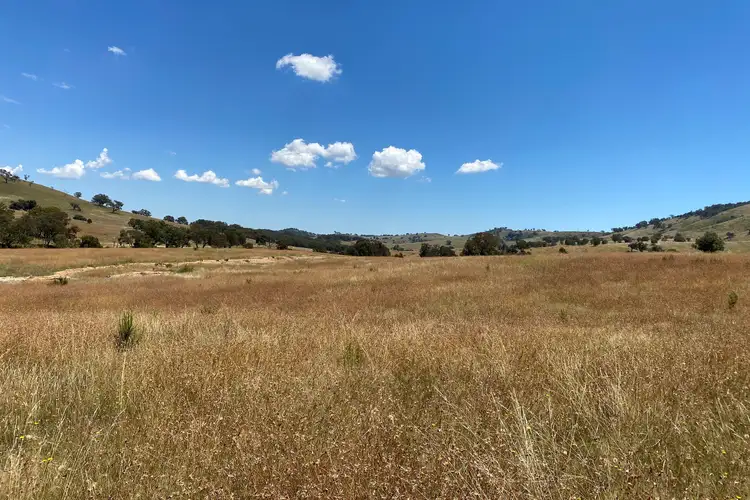 Fourth view of Homely rural property listing, LOT 41 Campbells Creek Road, Mudgee NSW 2850