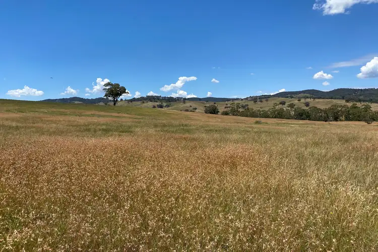Fifth view of Homely rural property listing, LOT 41 Campbells Creek Road, Mudgee NSW 2850