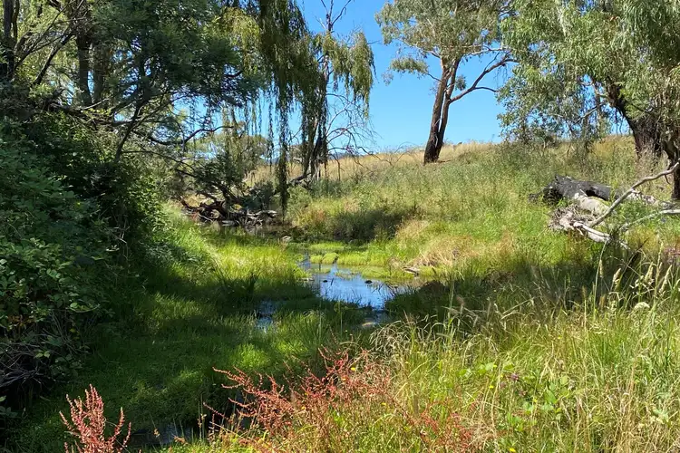 Main view of Homely rural property listing, LOT 69 Campbells Creek Road, Mudgee NSW 2850