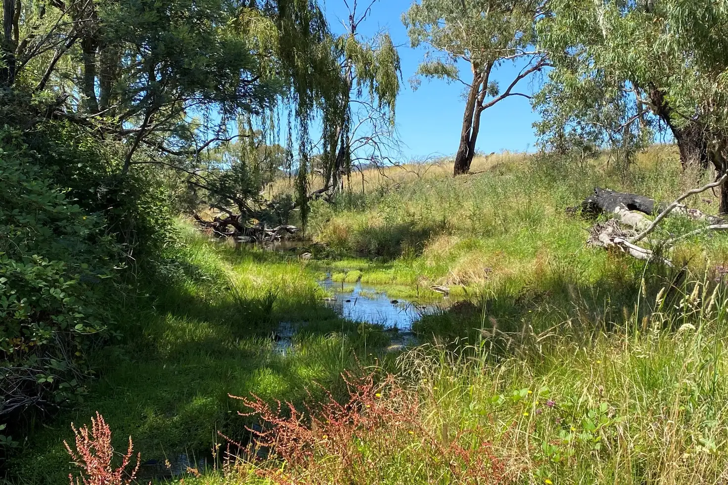 Main view of Homely rural property listing, LOT 69 Campbells Creek Road, Mudgee NSW 2850