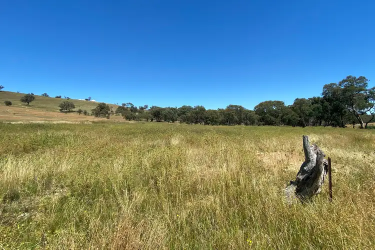 Fourth view of Homely rural property listing, LOT 69 Campbells Creek Road, Mudgee NSW 2850