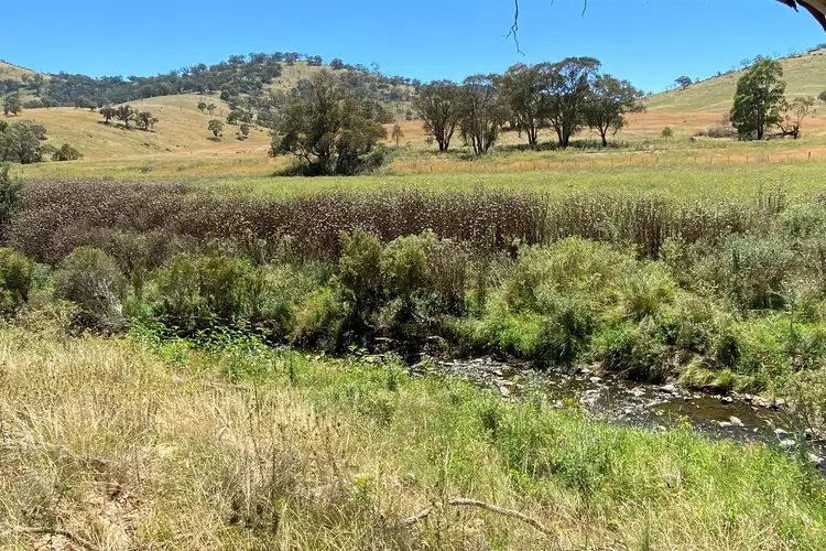 Fifth view of Homely rural property listing, LOT 39 Campbells Creek Road, Mudgee NSW 2850