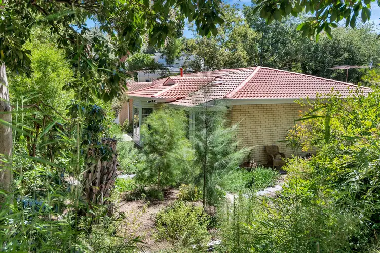 19 McAllan Avenue, Burnside SA 5066