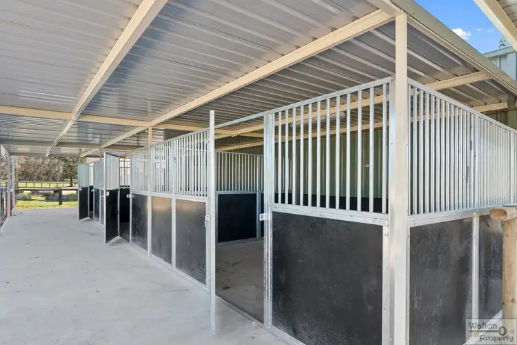 Third view of Homely rural property listing, 224-230 Hinxman Road, Castlereagh NSW 2749