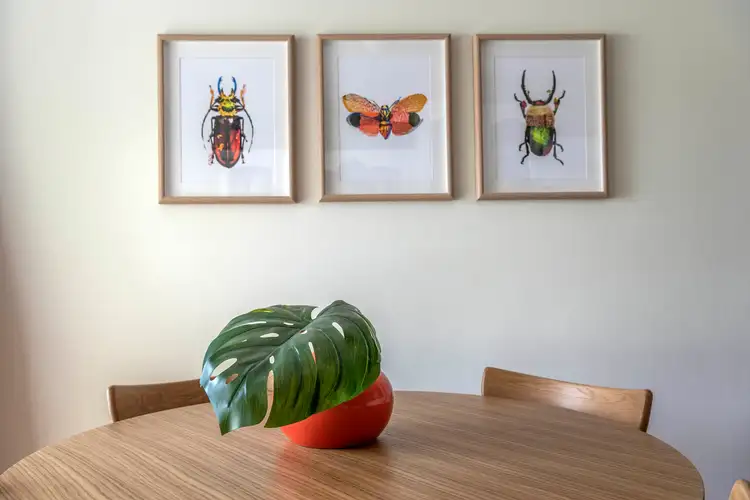 Fourth view of Homely house listing, 6 Bethune Close, Kambah ACT 2902