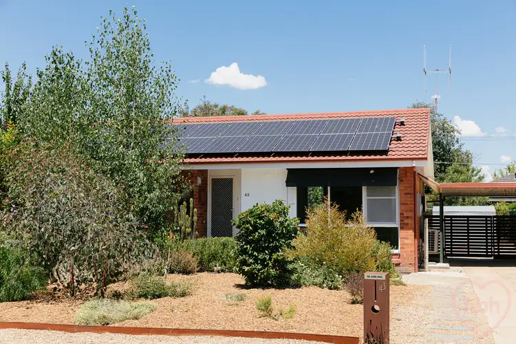 43 Molesworth Street, Watson ACT 2602