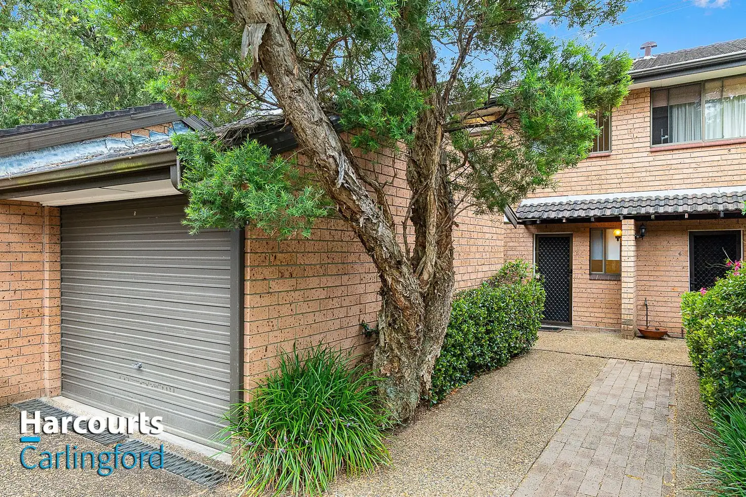 Main view of Homely townhouse listing, 5/17-19 Busaco Road, Marsfield NSW 2122
