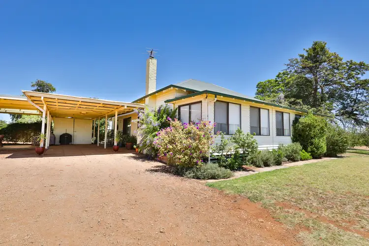 Main view of Homely rural property listing, 72 Dacelo Avenue, Red Cliffs VIC 3496