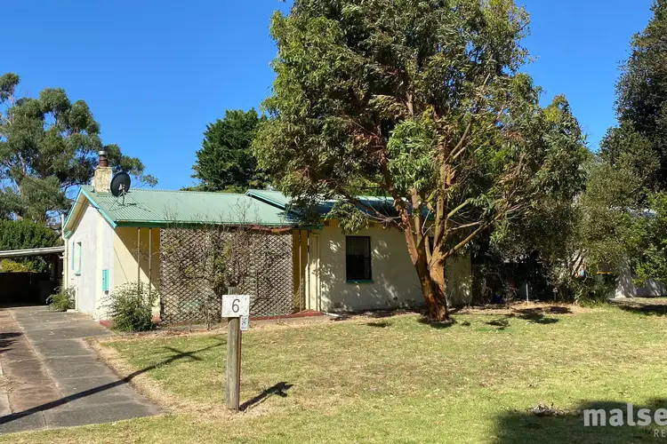 Main view of Homely house listing, 347 Tantanoola Road, Tantanoola SA 5280