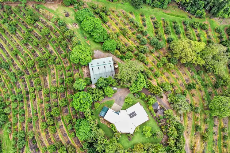 Fourth view of Homely house listing, 44b Schulz Road, Woombye QLD 4559