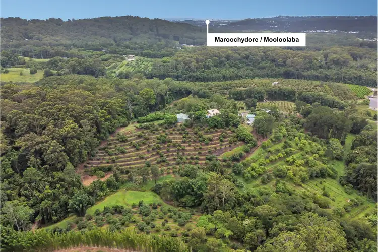 Fifth view of Homely house listing, 44b Schulz Road, Woombye QLD 4559