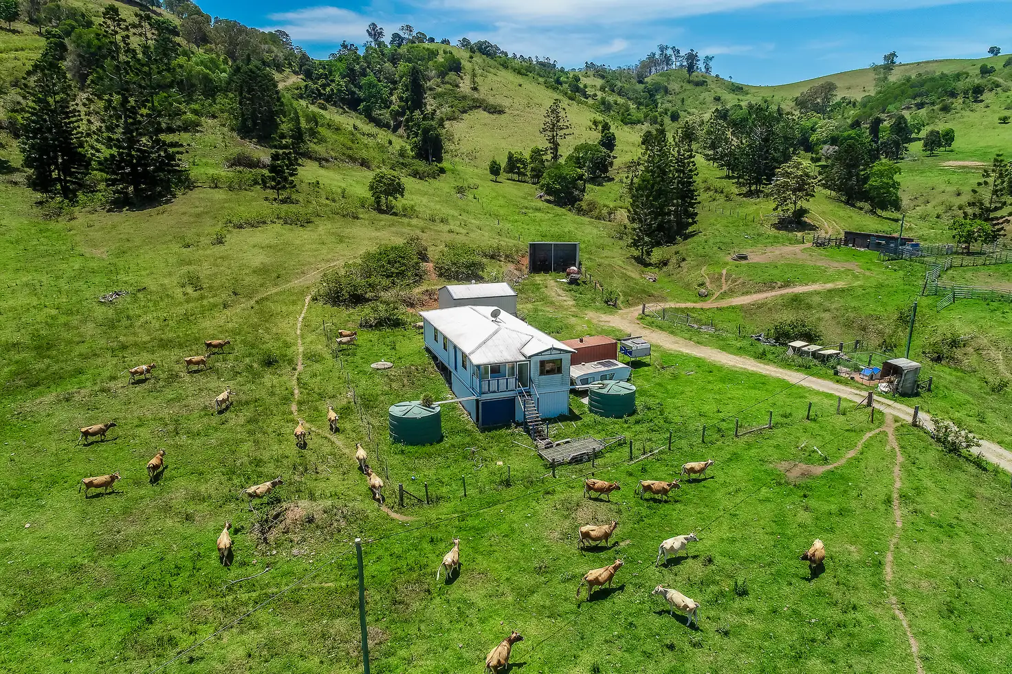 Main view of Homely rural property listing, 103 Jerry Creek Road, Langshaw QLD 4570