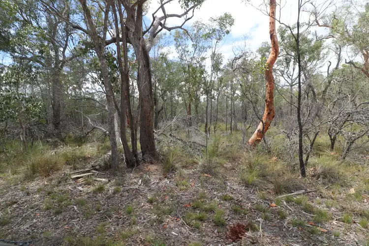 Third view of Homely land listing, LOT 2 Buxton Road, Isis River QLD 4660