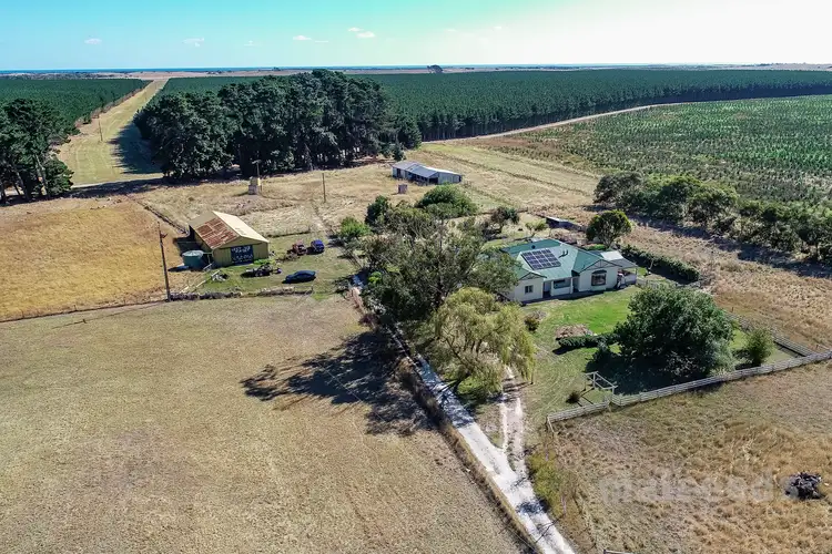 Fifth view of Homely rural property listing, 456 Schinkels Road, Kongorong SA 5291
