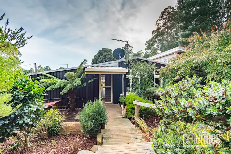 Main view of Homely house listing, 499 East Maurice Road, Talawa TAS 7263