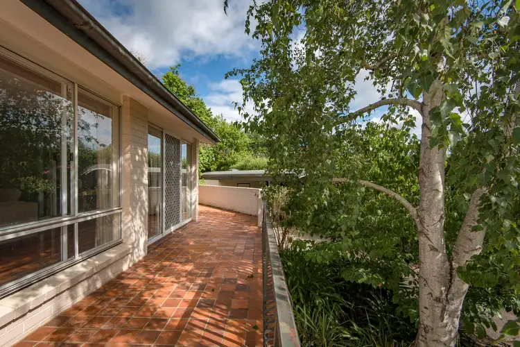 Third view of Homely house listing, 43 Hicks Street, Red Hill ACT 2603