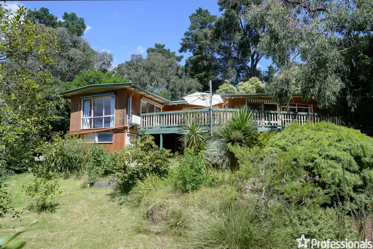 Main view of Homely house listing, 49-51 Mt Riddell Road, Healesville VIC 3777