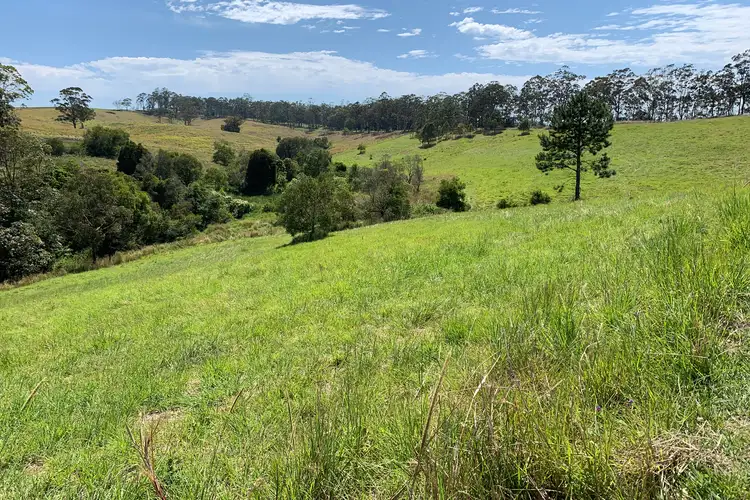 Fourth view of Homely house listing, 401 Sargents Road, Homeleigh NSW 2474