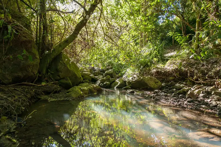 Third view of Homely house listing, 16/265 Martin Road, Larnook NSW 2480