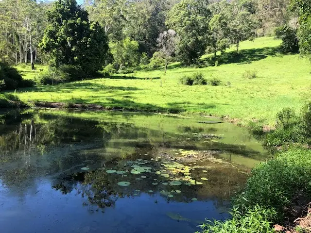 Third view of Homely rural property listing, 907 Homeleigh Road, Homeleigh NSW 2474
