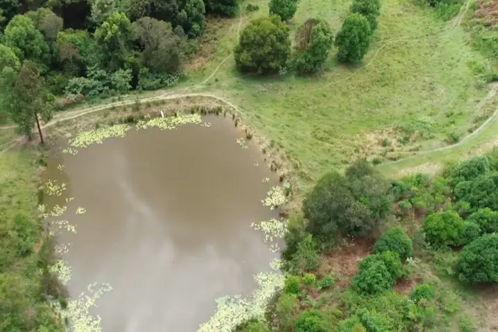 Sixth view of Homely land listing, 345 Blue Knob Road, Nimbin NSW 2480