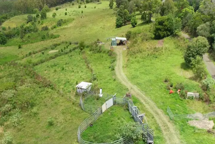 Seventh view of Homely land listing, 345 Blue Knob Road, Nimbin NSW 2480