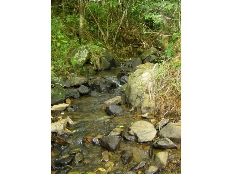 Main view of Homely land listing, Lot 9 Tulsi Lane, Nimbin NSW 2480