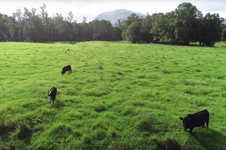 Fifth view of Homely house listing, 52 Thorburn Street, Nimbin NSW 2480