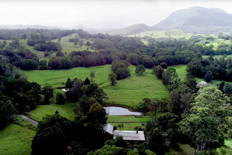 Seventh view of Homely house listing, 52 Thorburn Street, Nimbin NSW 2480
