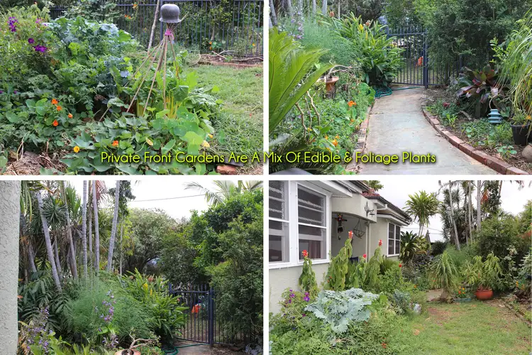 Fourth view of Homely house listing, 11 Aurora Street, East Lismore NSW 2480