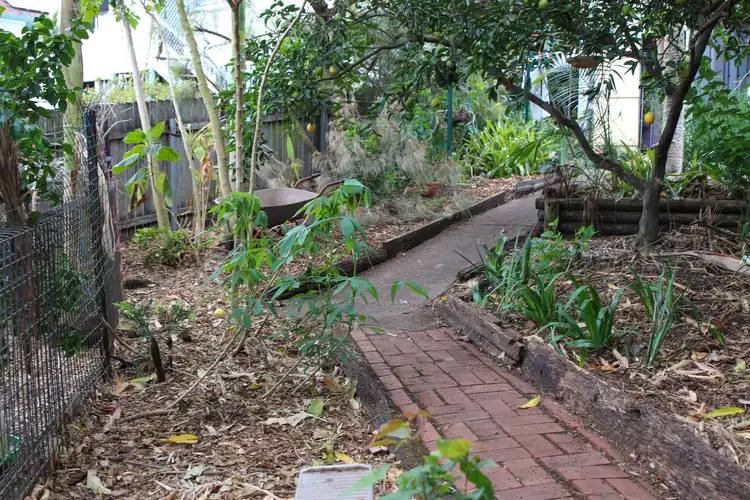 Seventh view of Homely house listing, 11 Aurora Street, East Lismore NSW 2480