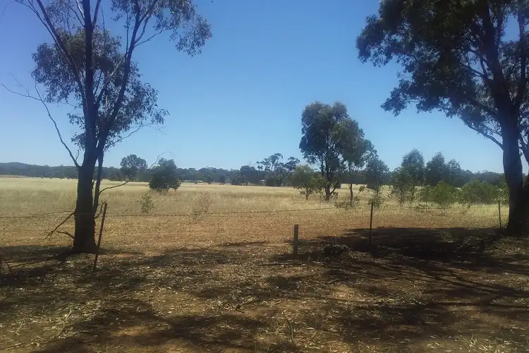 Second view of Homely rural property listing, 36 Wet Lane, Inglewood VIC 3517