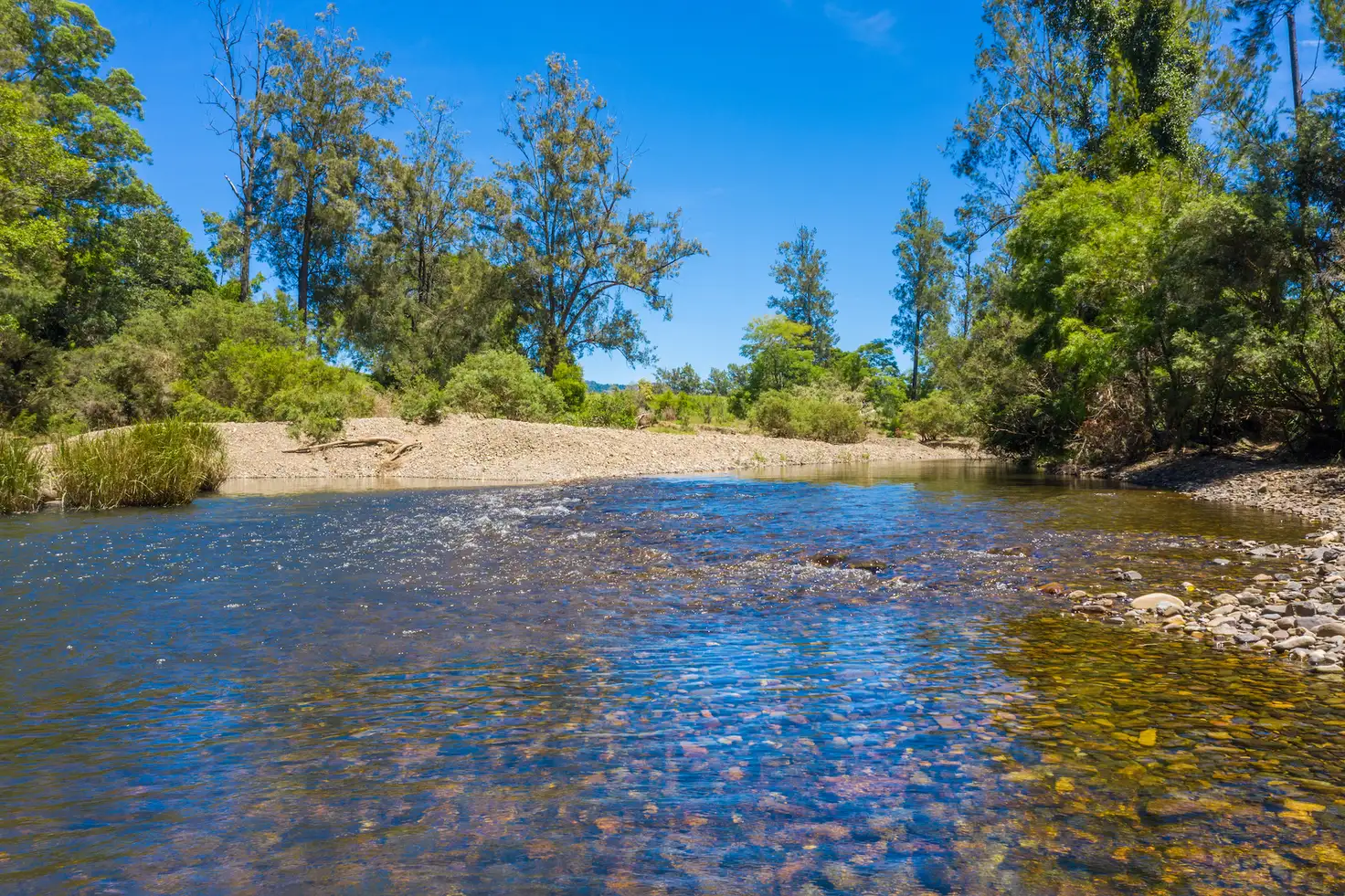 Main view of Homely rural property listing, 273 Roelands Drive, Brombin NSW 2446