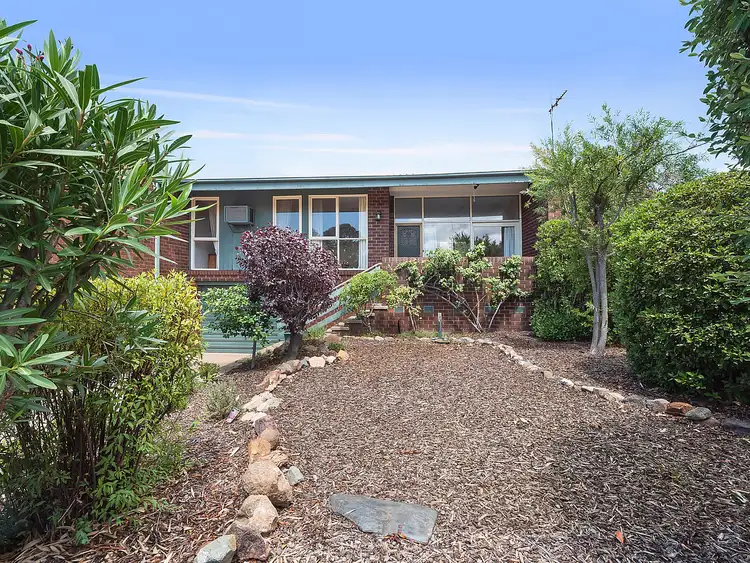 19 Rymill Place, Mawson ACT 2607