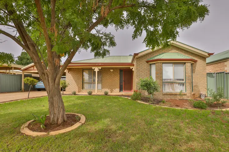 13 Mahogany Drive, Mildura VIC 3500
