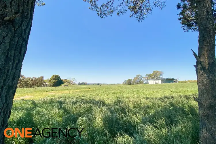 Fourth view of Homely land listing, 115 Burtons Lane, Forest Reefs NSW 2798