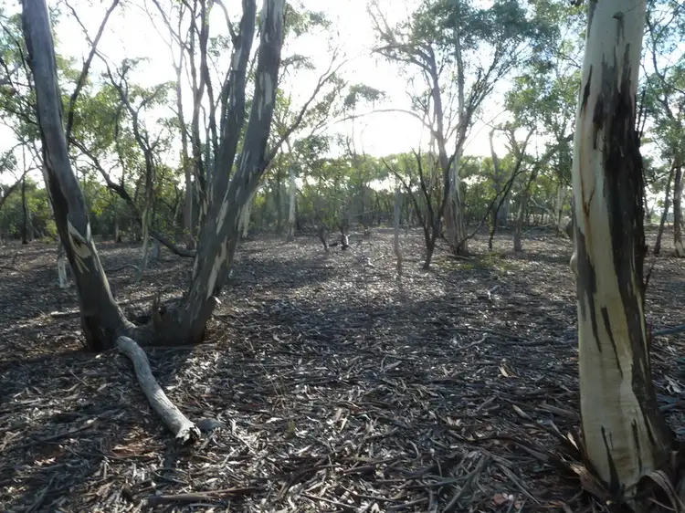 CA 19 Holts Lane, Wedderburn VIC 3518