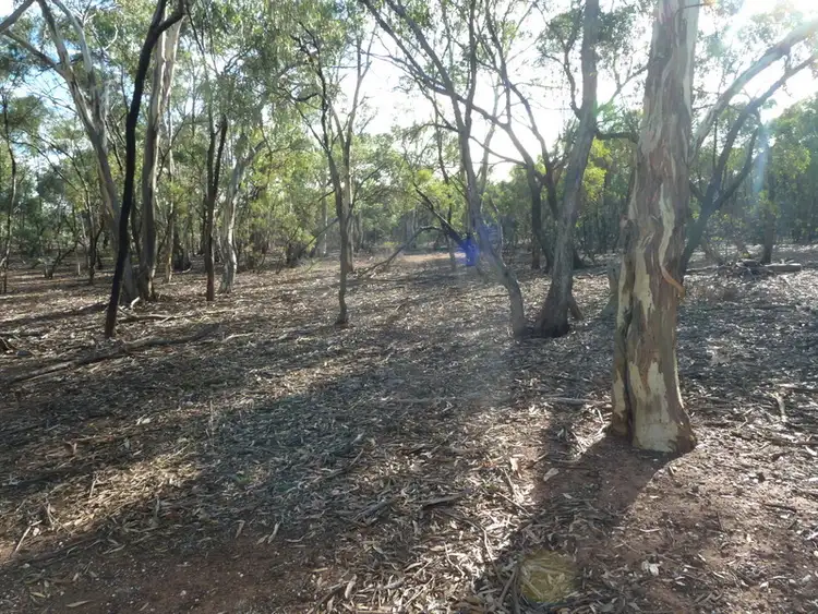 Third view of Homely rural property listing, CA 19 Holts Lane, Wedderburn VIC 3518