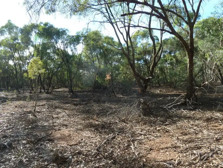 Fourth view of Homely rural property listing, CA 19 Holts Lane, Wedderburn VIC 3518