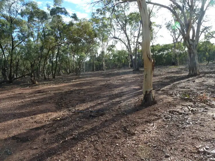 Seventh view of Homely rural property listing, CA 19 Holts Lane, Wedderburn VIC 3518